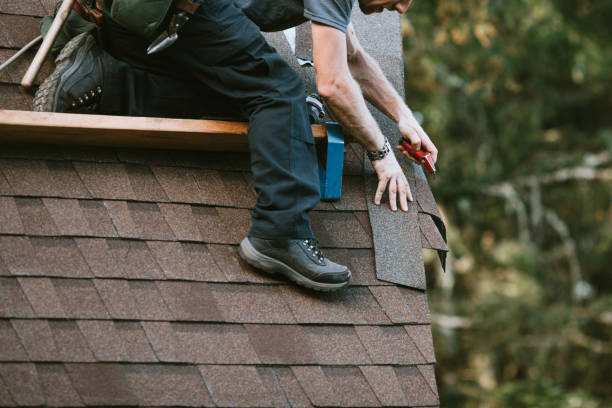 Best Roof Gutter Cleaning  in Odenville, AL